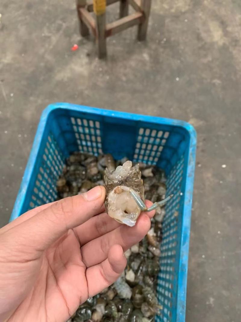 虾尾