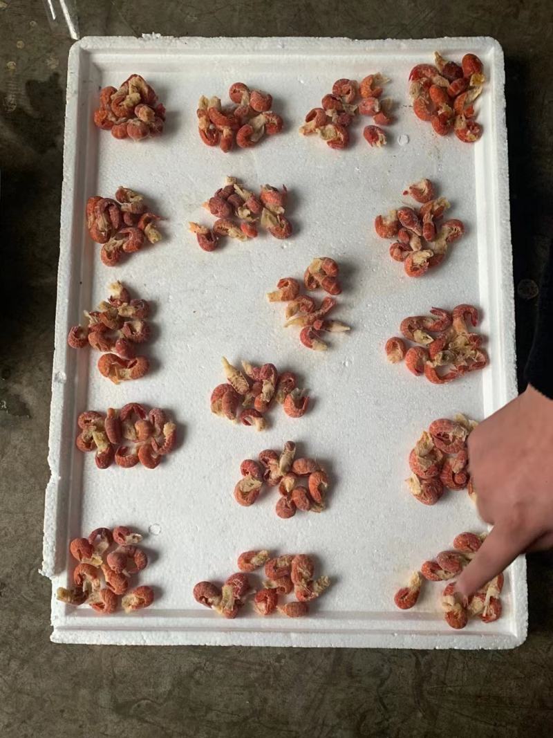 虾尾
