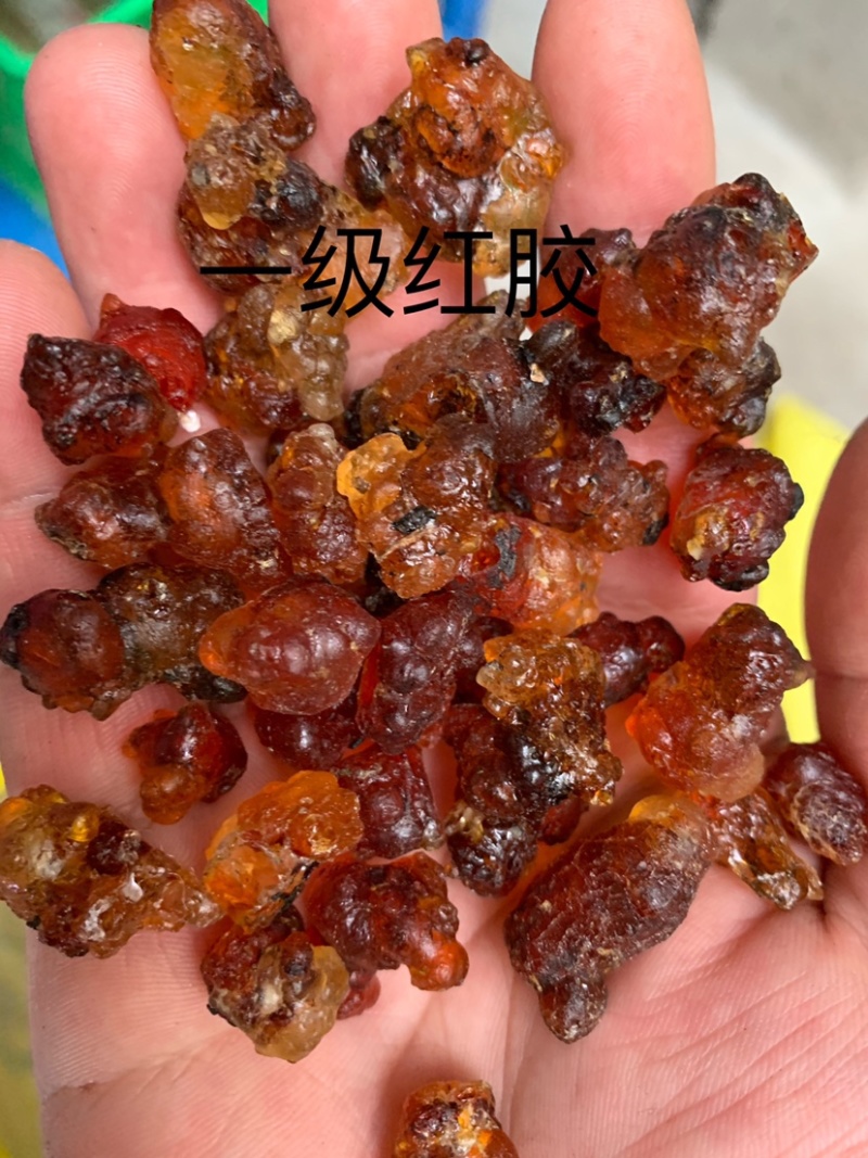 水洗桃胶野生桃胶，无杂质，免清理，不浪费快递包邮