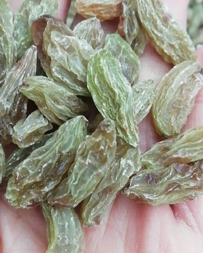 新疆吐鲁番大颗粒北京王葡萄干，三斤起发货，整件批发价便宜