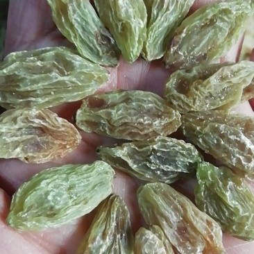 新疆吐鲁番大颗粒北京王葡萄干，三斤起发货，整件批发价便宜