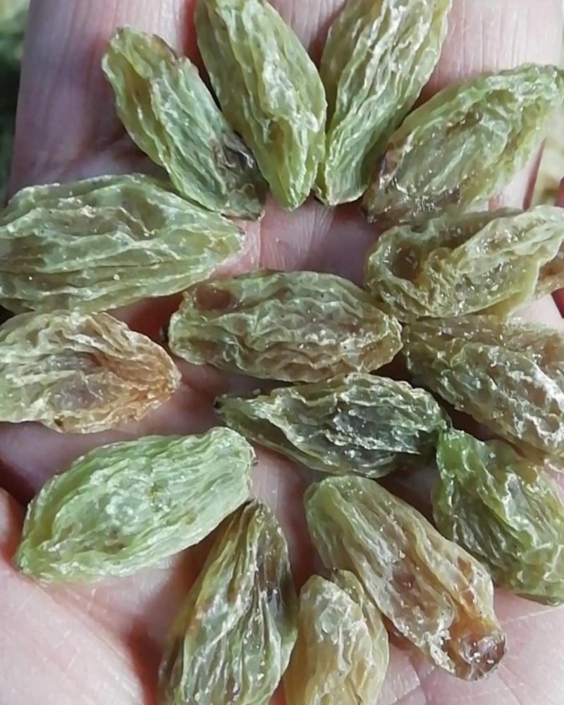 新疆吐鲁番大颗粒北京王葡萄干，三斤起发货，整件批发价便宜