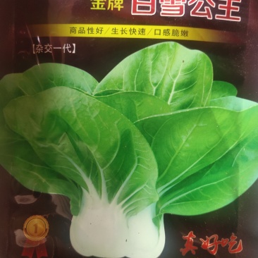 白雪公主小白菜，超嫩甜种子，耐热耐寒耐湿，