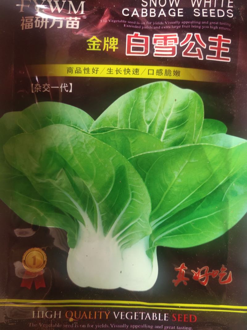 白雪公主小白菜，超嫩甜种子，耐热耐寒耐湿，