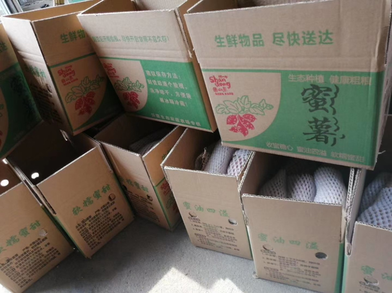 烟薯25