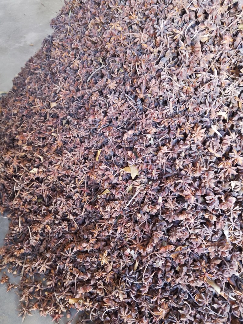大红八角有没有老板看懂