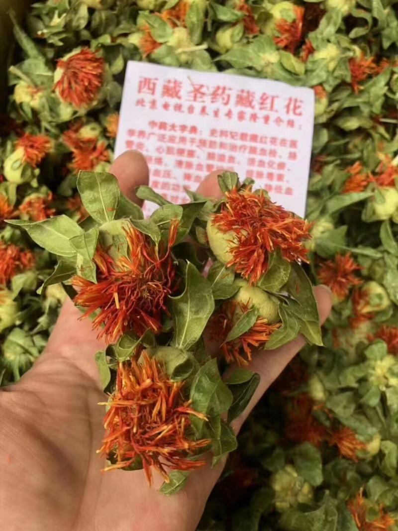 新货藏红花朵到货、一件20斤、质量好、干度好、