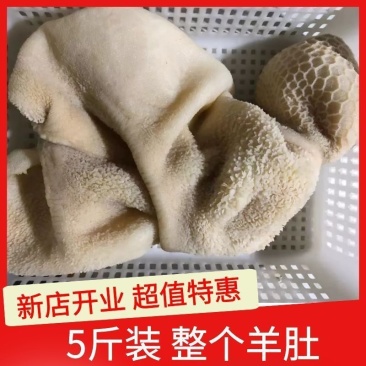 5斤内蒙清真新鲜羊肚冷冻毛肚全熟羊肚子商用水发熟羊肚包邮