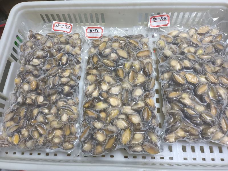 活鲍鱼现杀三去鲍鱼肉适合活跳墙肉粽包子食品厂烧烤炖汤