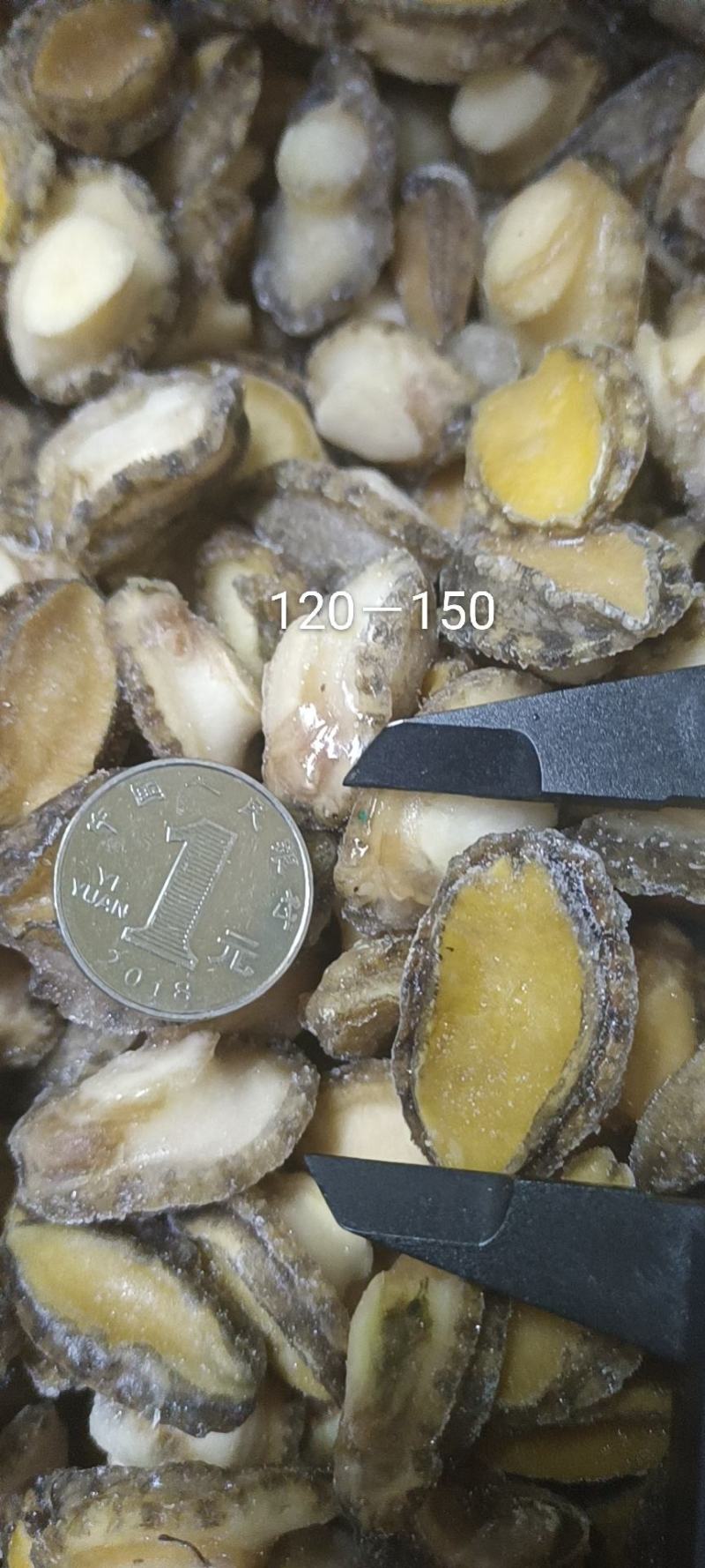 活鲍鱼现杀三去鲍鱼肉适合活跳墙肉粽包子食品厂烧烤炖汤