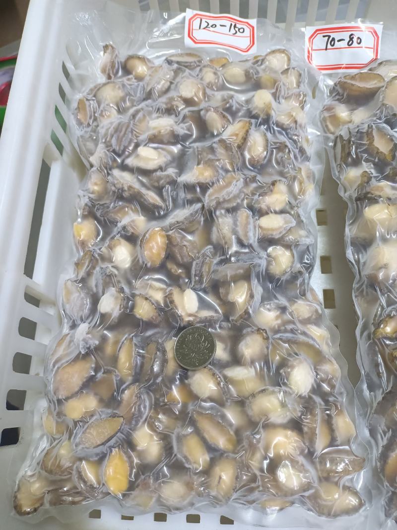 活鲍鱼现杀三去鲍鱼肉适合活跳墙肉粽包子食品厂烧烤炖汤