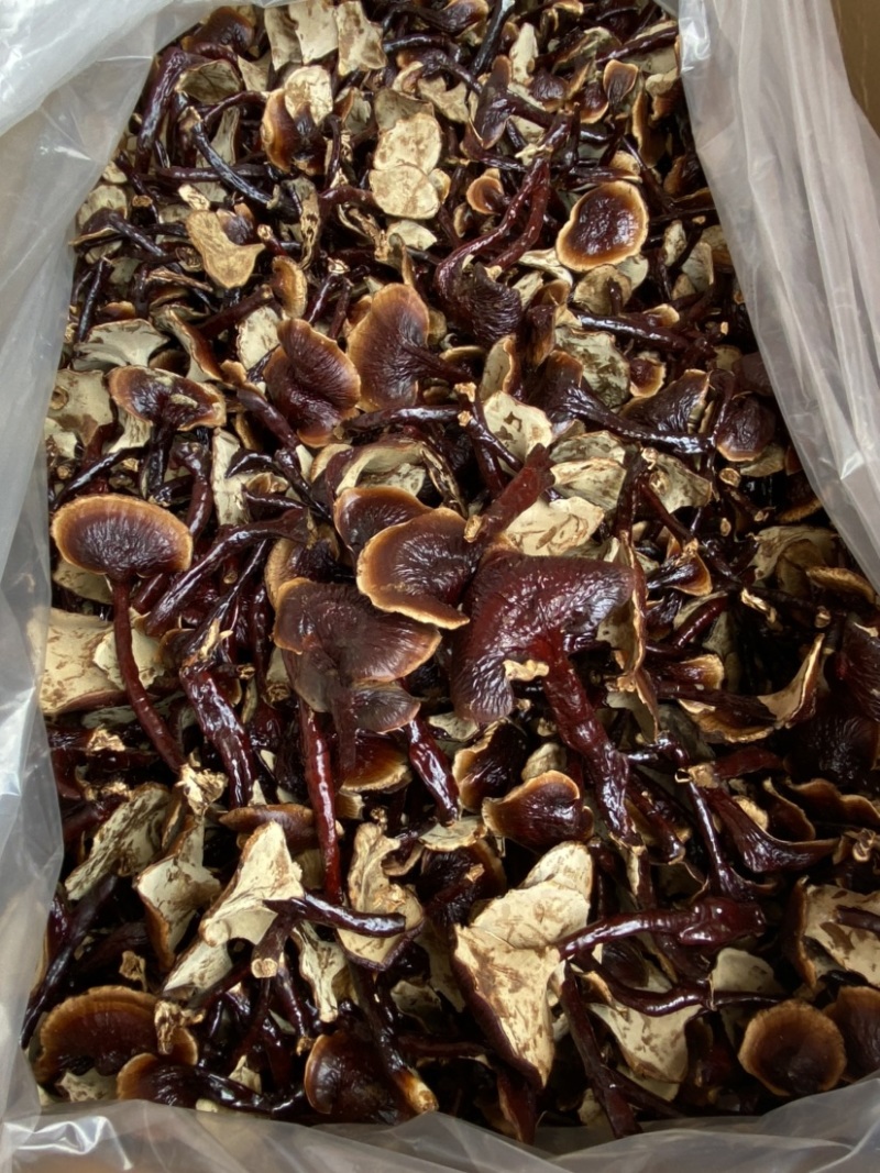 灵芝批发长白山灵芝王一手货源味香不苦批发零售