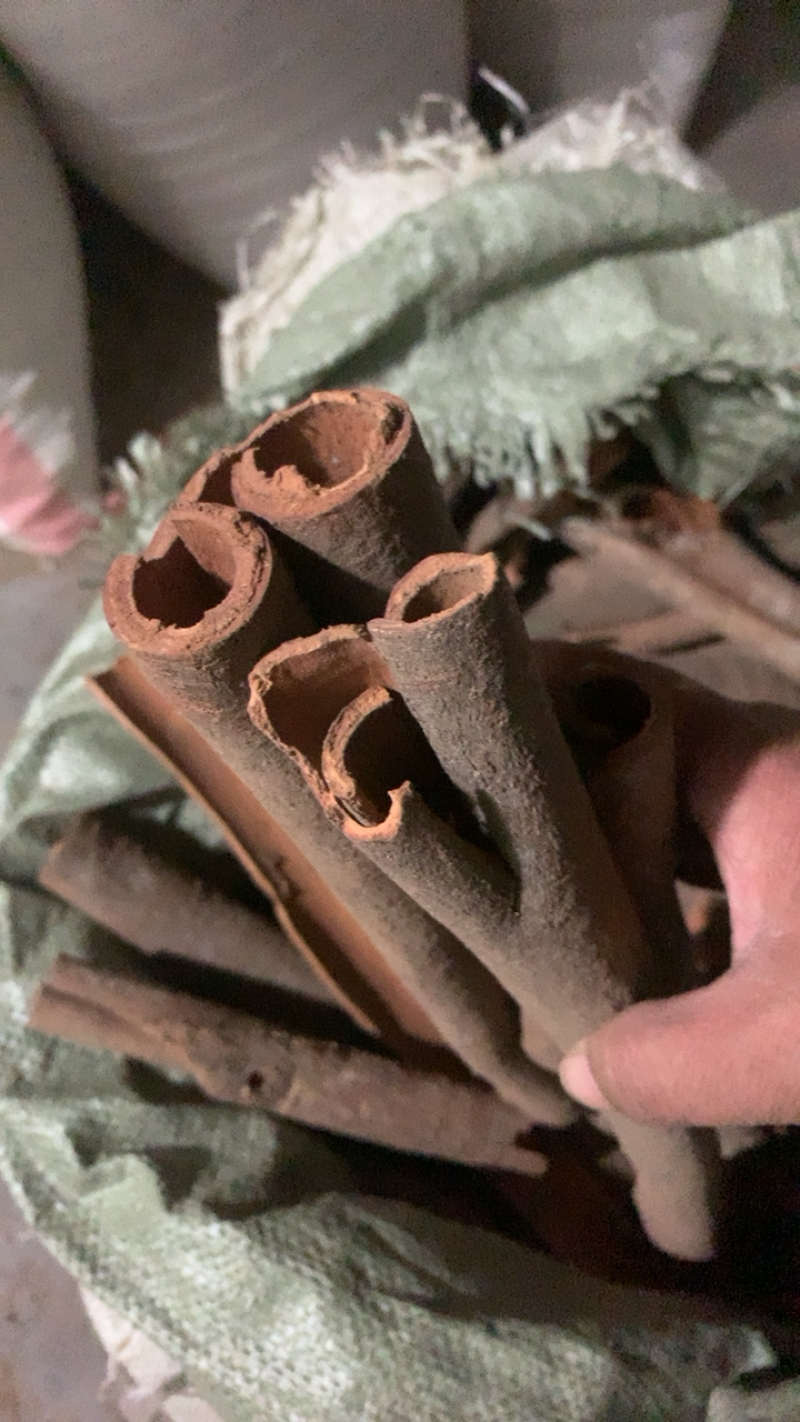 肉桂桂皮新货颜色好味道辛辣浓重保证质量