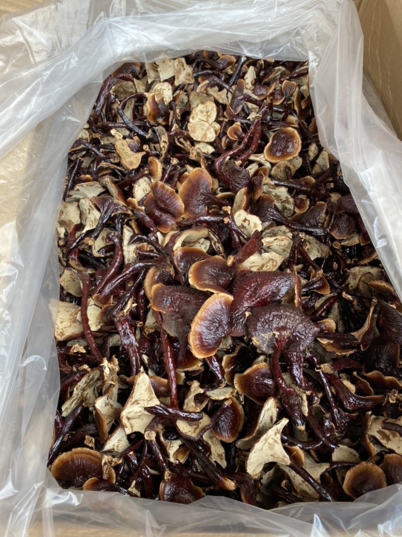 灵芝批发长白山灵芝王一手货源味香不苦批发零售
