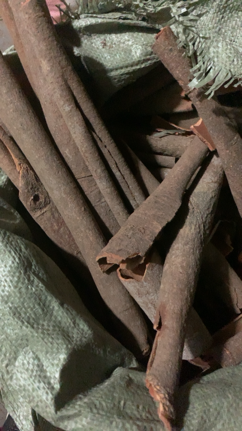 肉桂桂皮新货颜色好味道辛辣浓重保证质量