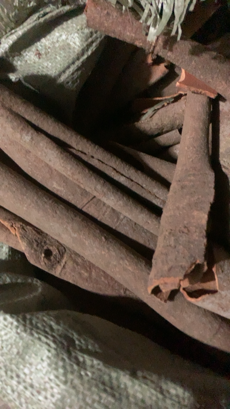 肉桂桂皮新货颜色好味道辛辣浓重保证质量