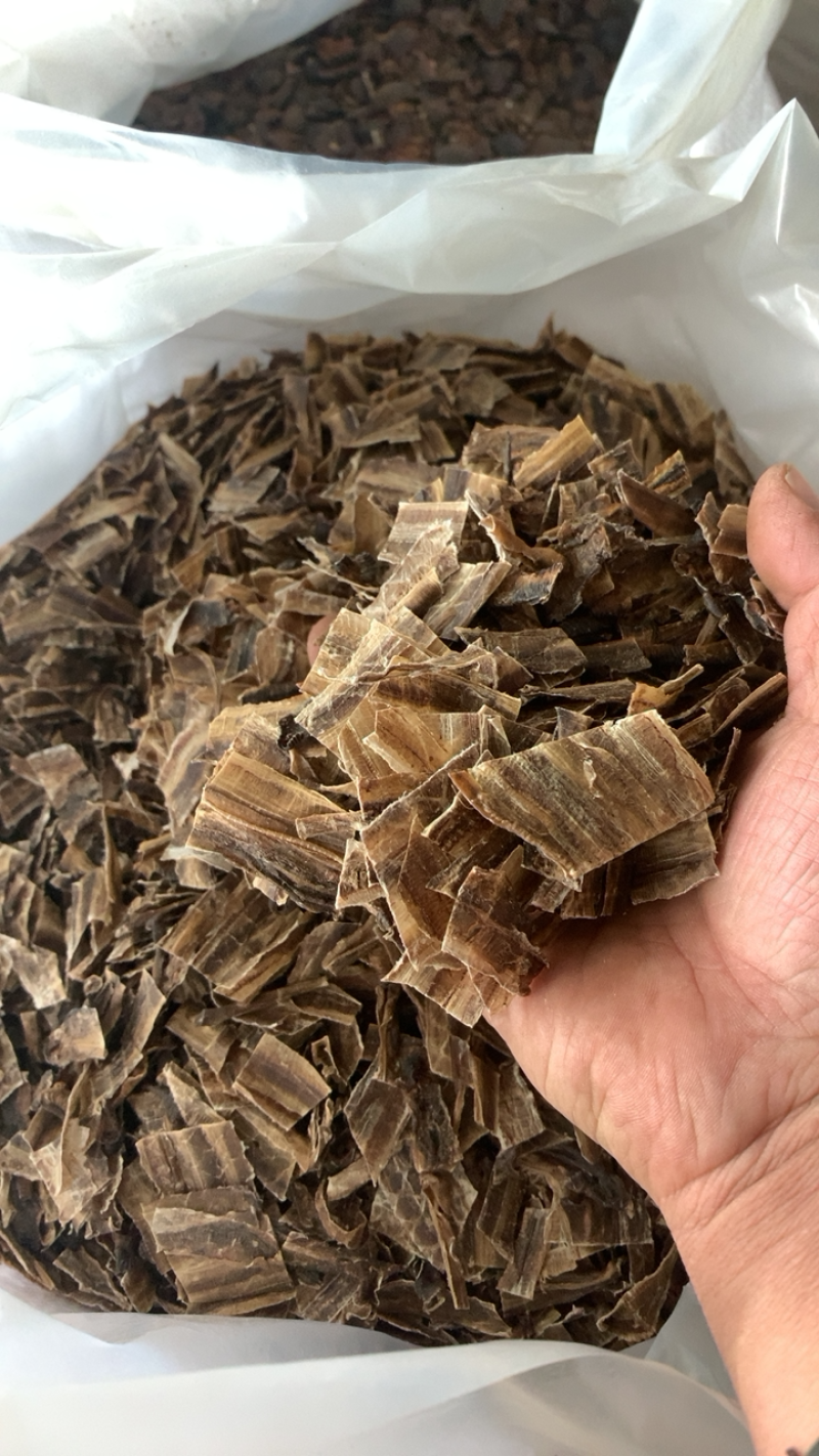 地龙广地龙全开水洗干净没有残留产地直供量大从优