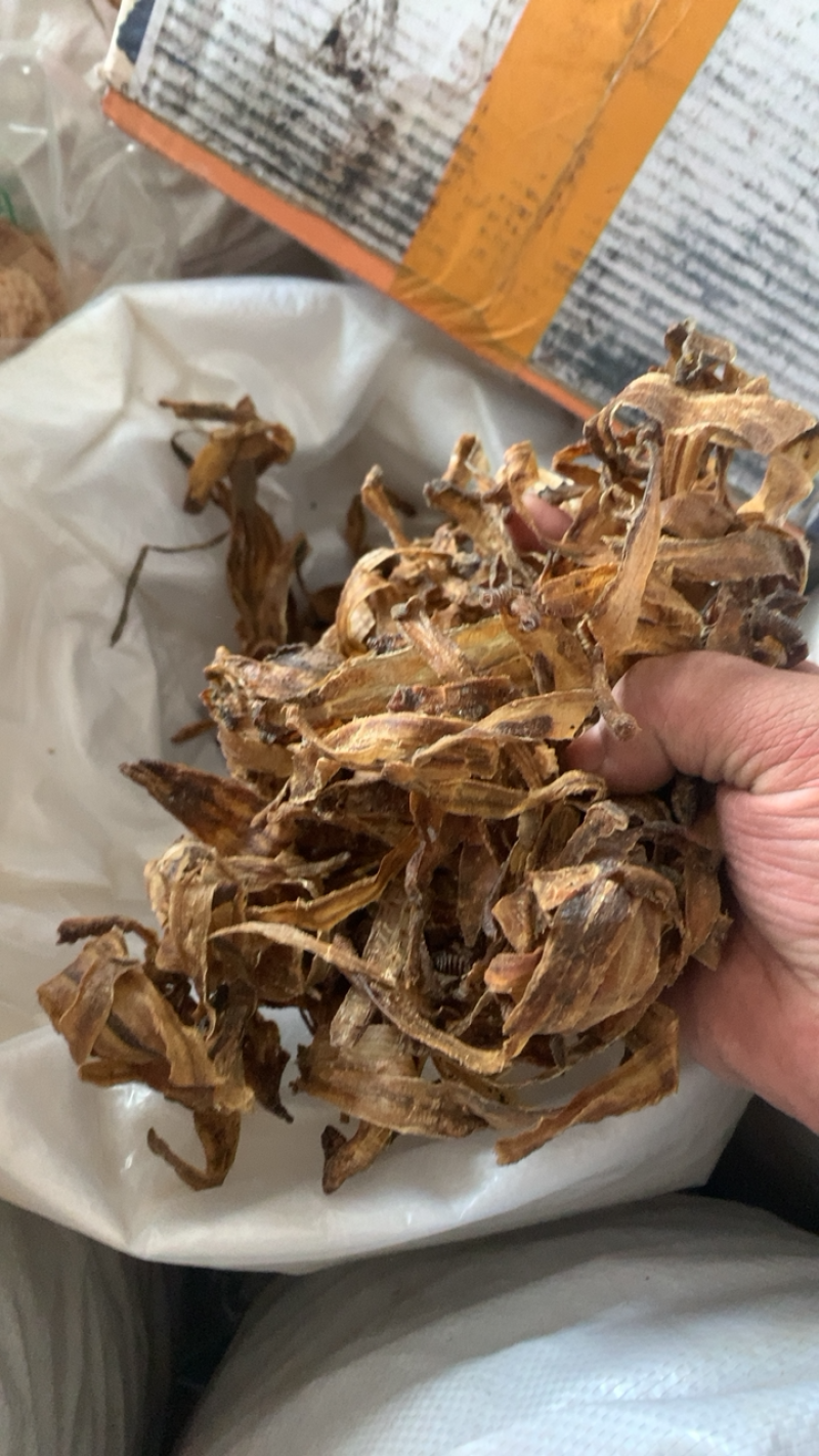 地龙广地龙全开水洗干净没有残留产地直供量大从优