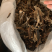 地龙广地龙全开水洗干净没有残留产地直供量大从优