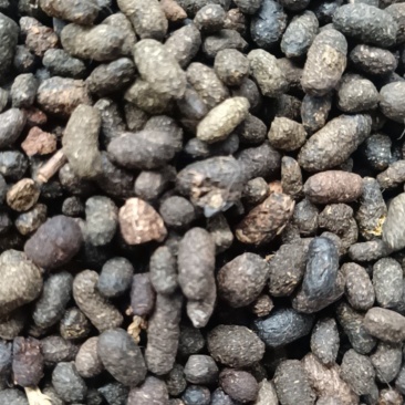 五灵脂净货糖灵脂康辰药业批发各种中药材