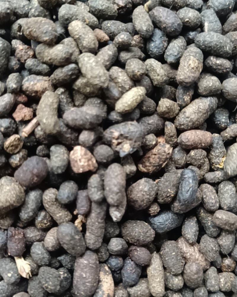 五灵脂净货糖灵脂康辰药业批发各种中药材