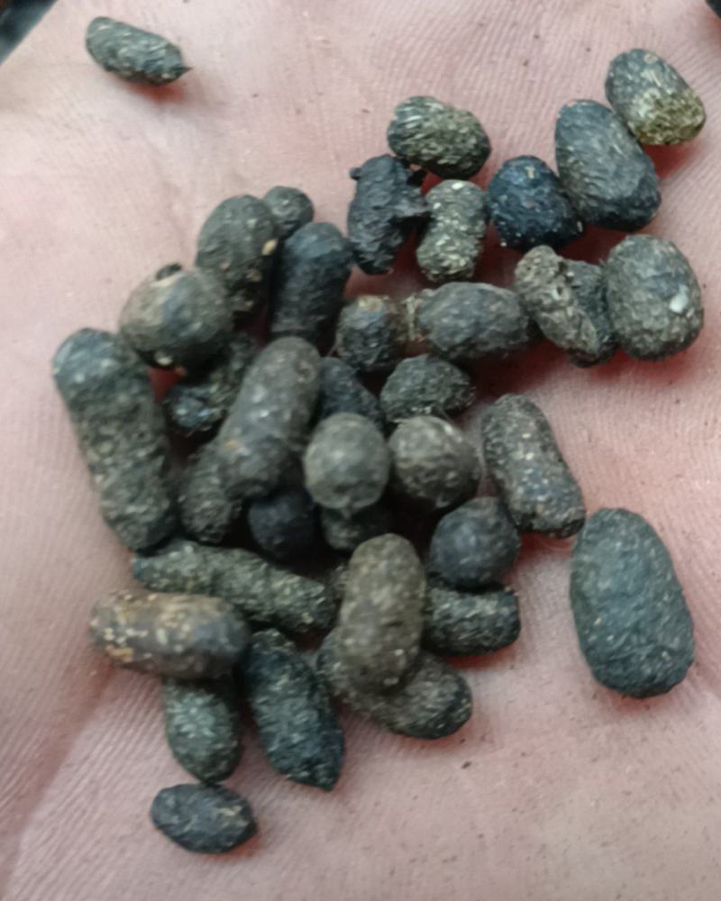 五灵脂净货糖灵脂康辰药业批发各种中药材