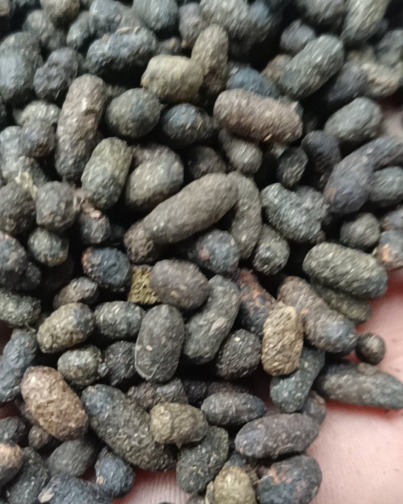 五灵脂净货糖灵脂康辰药业批发各种中药材