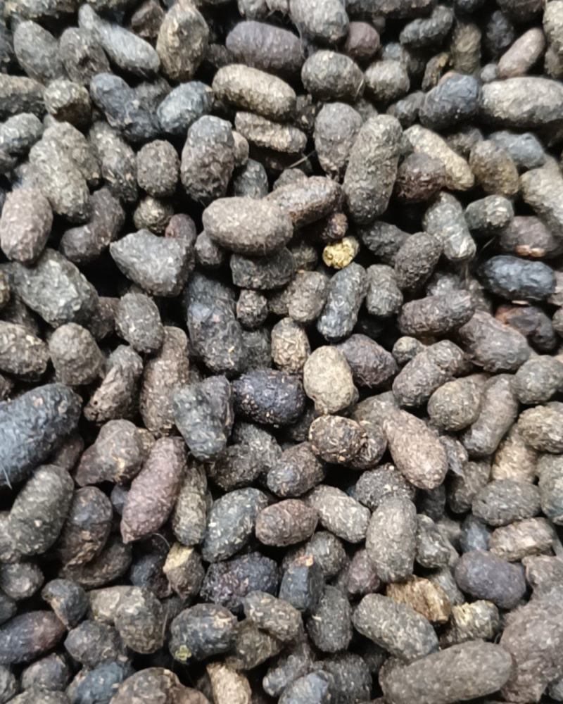 五灵脂净货糖灵脂康辰药业批发各种中药材