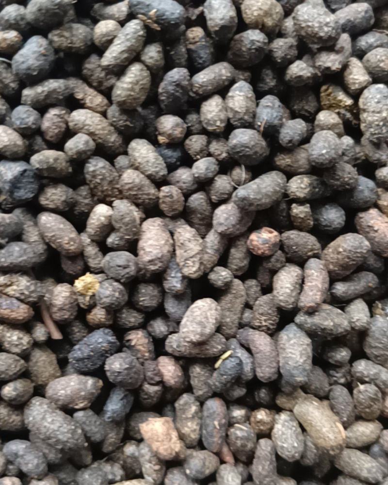五灵脂净货糖灵脂康辰药业批发各种中药材