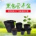 一次性育苗盆双色盆营养钵塑料简易花盆软塑料育苗双色花盆种