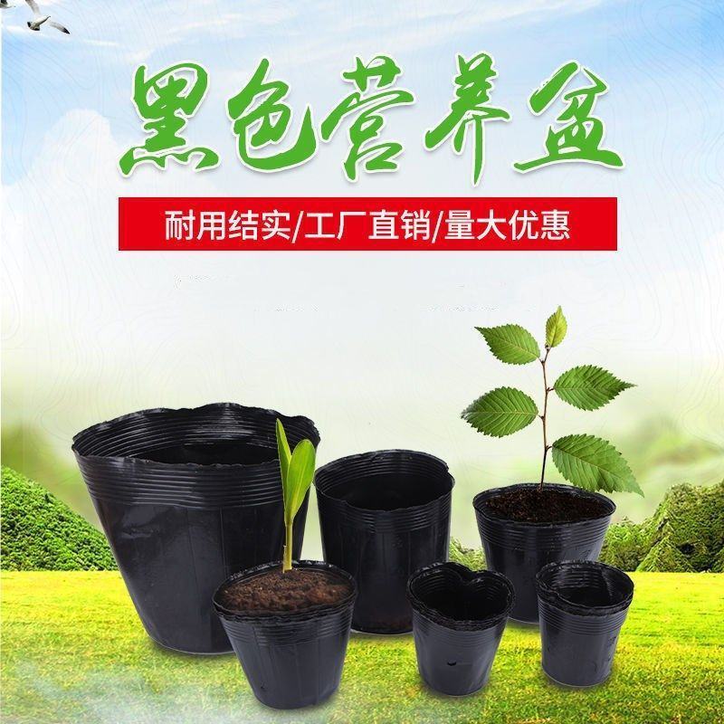 一次性育苗盆双色盆营养钵塑料简易花盆软塑料育苗双色花盆种