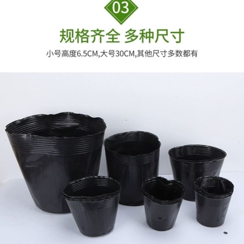 一次性育苗盆双色盆营养钵塑料简易花盆软塑料育苗双色花盆种