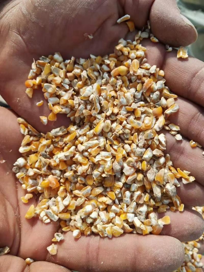 碎玉米下脚料，适合牛羊猪，鸡鸭鹅养殖专用降低养殖成本。