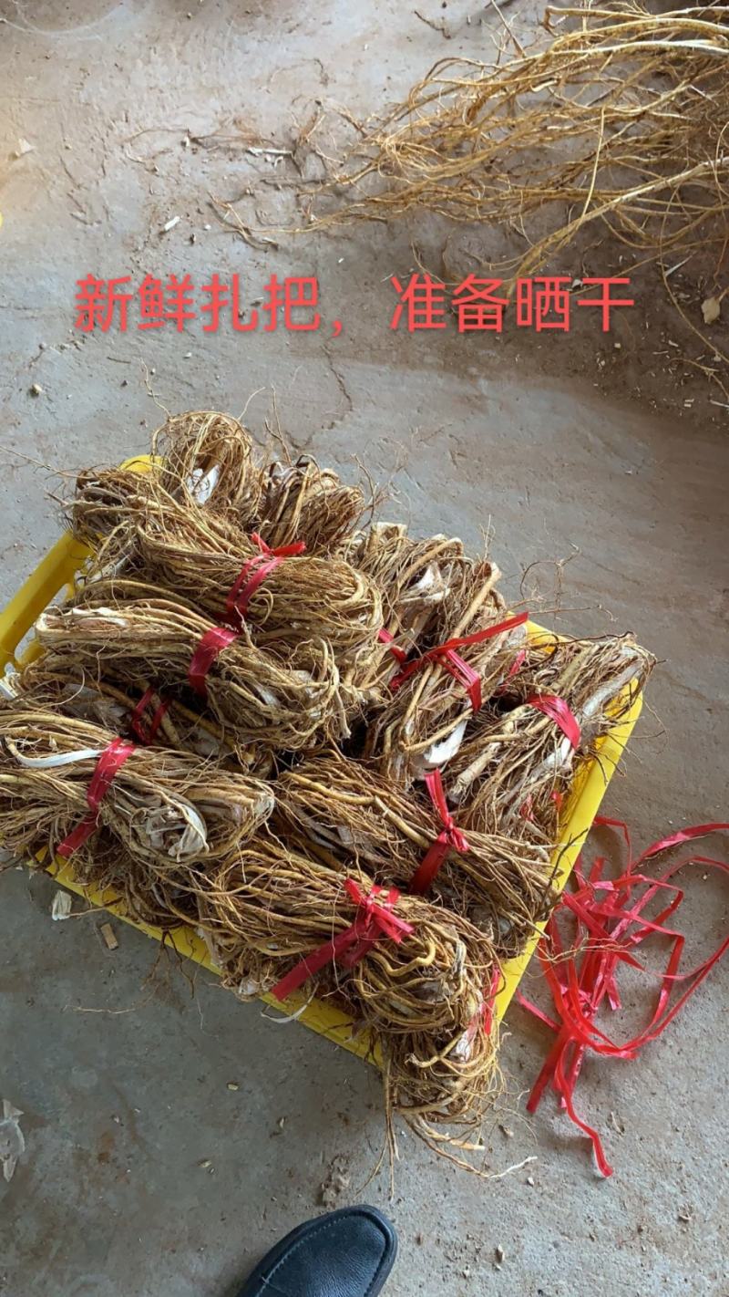广东山挖五指毛桃加工，干净无泥，现挖现加工，厂家直售！