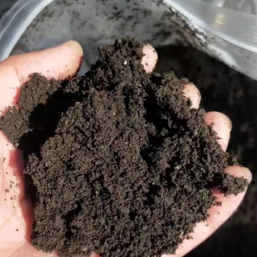 鸡粪发酵有机肥料腐熟营养土家用蔬菜果树花卉纯鸡粪肥蔬菜用