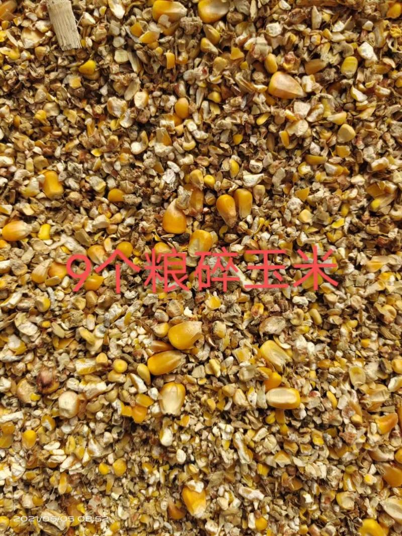常年供应碎玉米碎小麦各种下脚料，豆粕小料