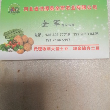 沽源县土豆大量出窖