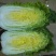 山东平度黄心打白菜，有需要联系我