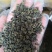 石崖茶，岩茶，金秀大瑶山产地直发，一手货源，品质保证