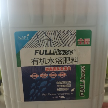 泰国耐普鱼蛋白