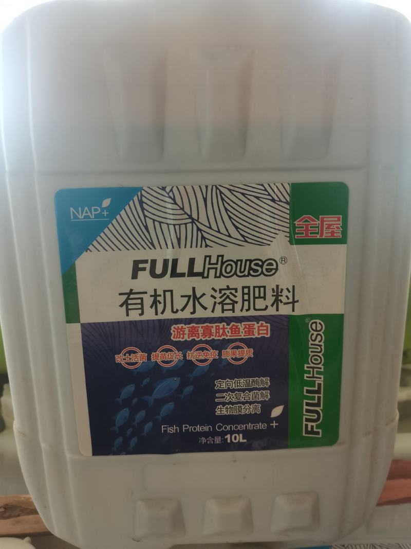 泰国耐普鱼蛋白