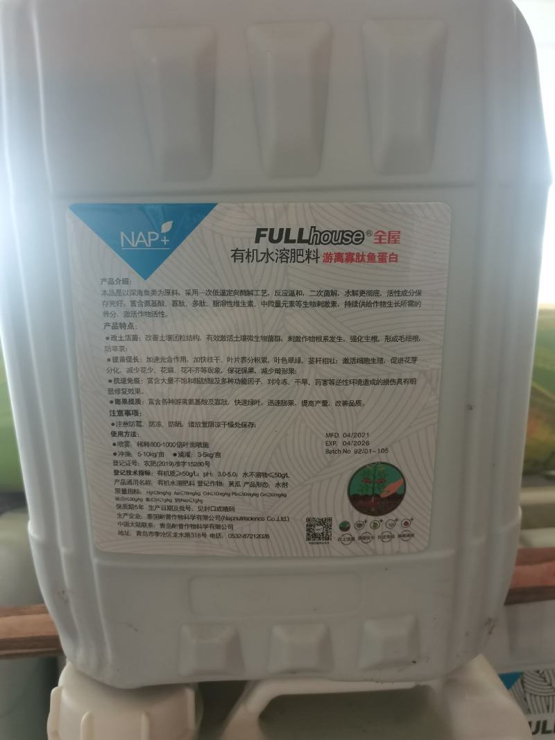 泰国耐普鱼蛋白