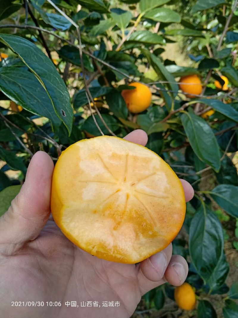 大量供应保证正品货源充足