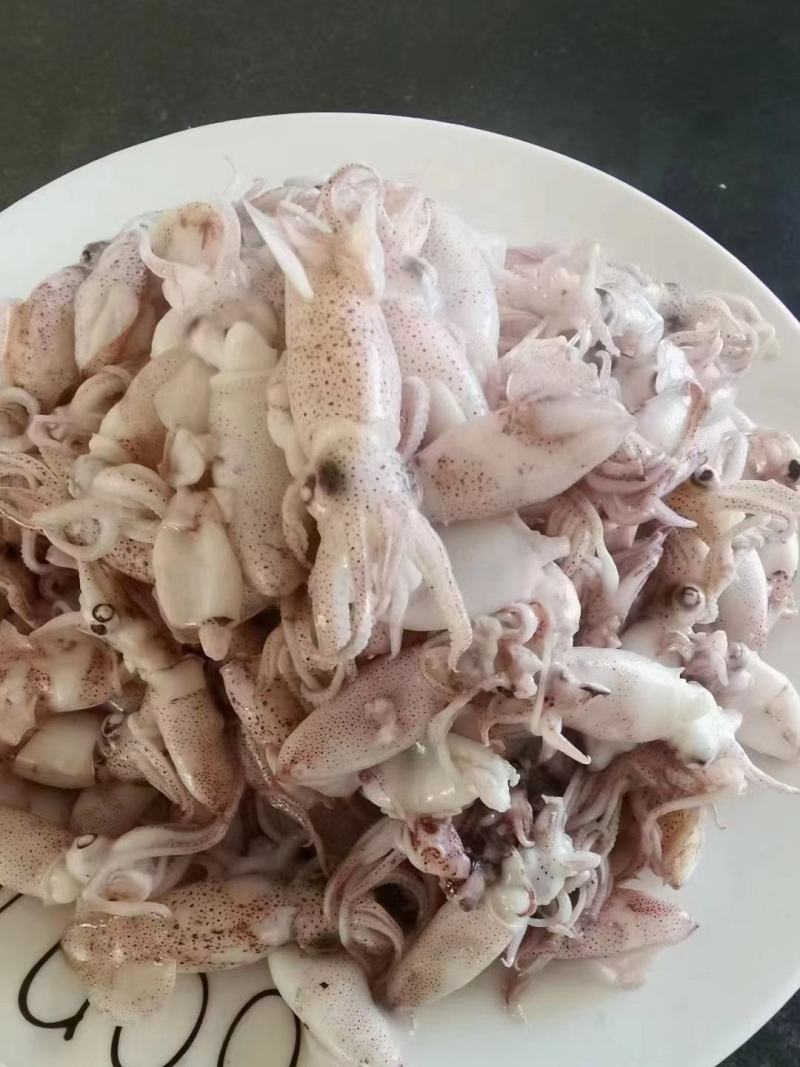 小八爪鱼