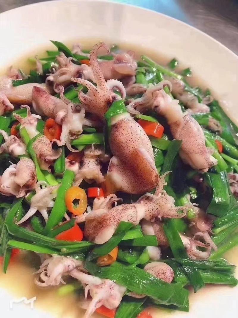 小八爪鱼