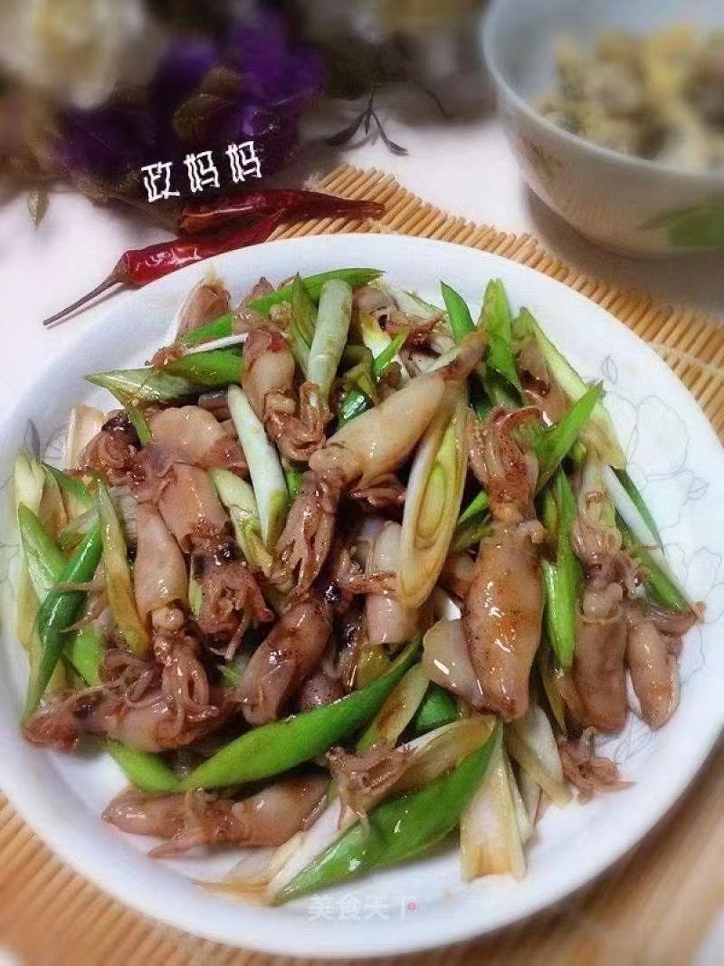 小八爪鱼