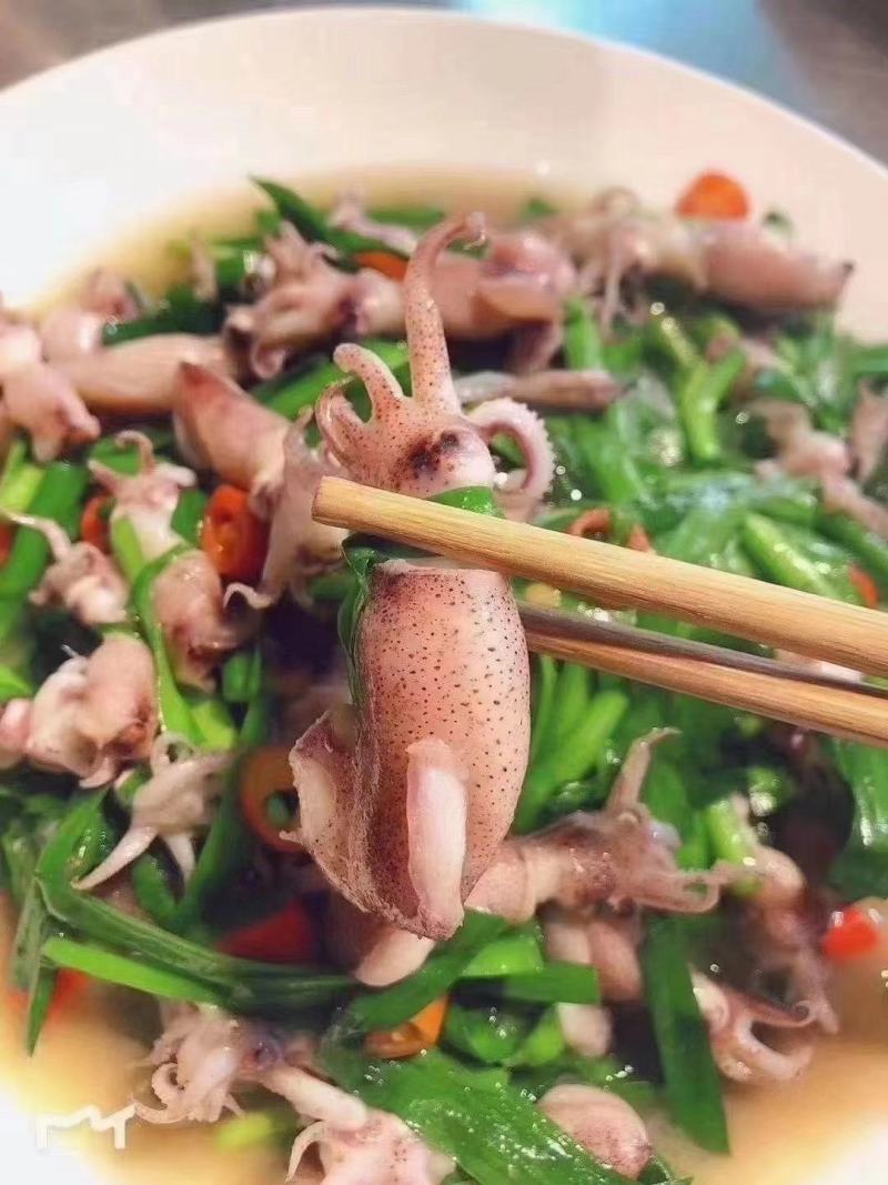 小八爪鱼