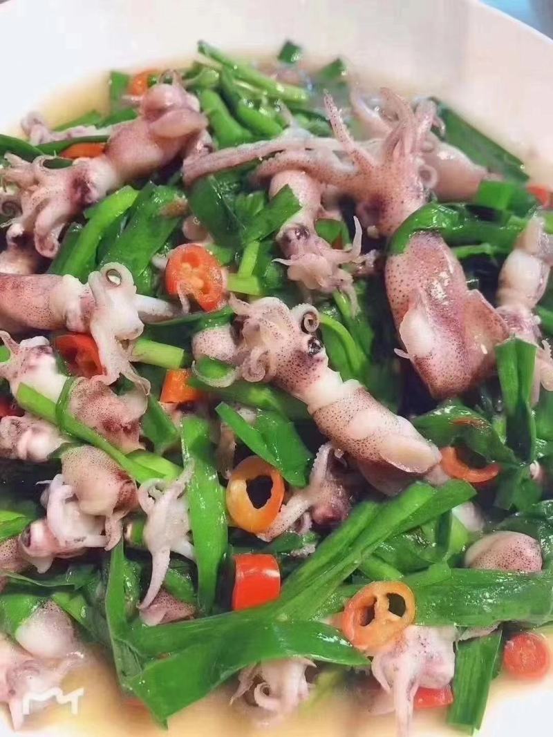 小八爪鱼