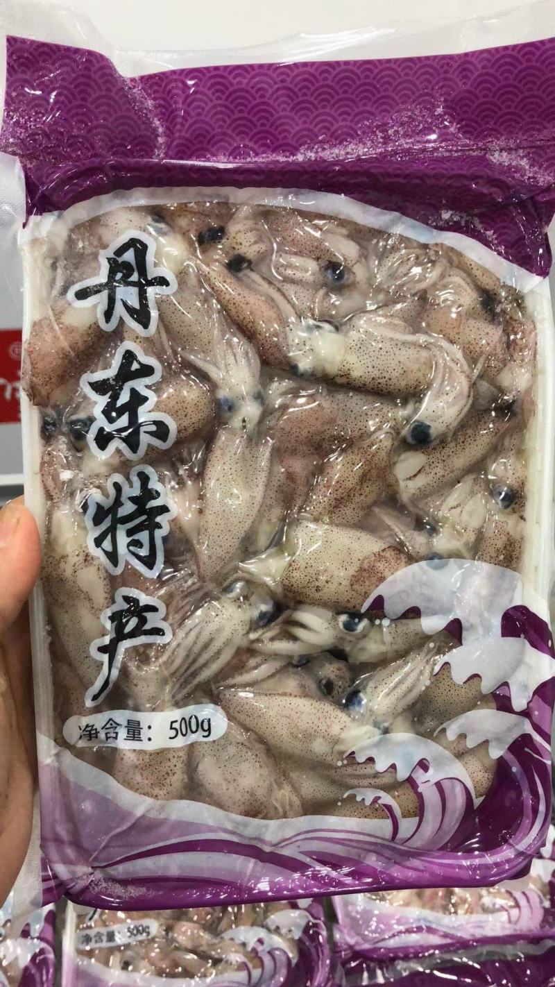 小八爪鱼
