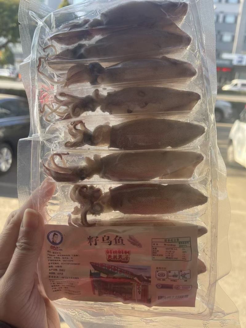 小八爪鱼